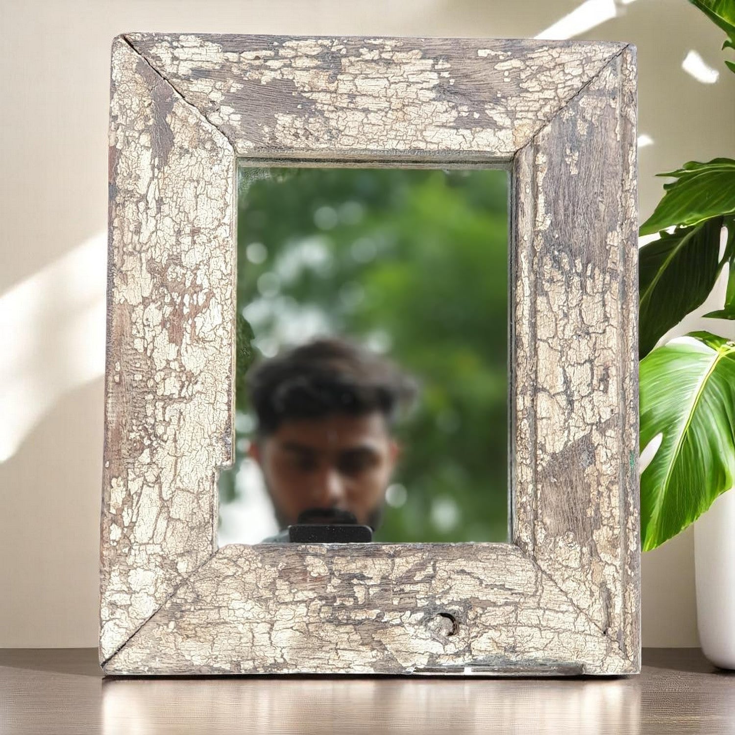 Echoes in Wood - Handmade Vintage Style Indian Mirror Frame Small Wall Decor 8X12 in