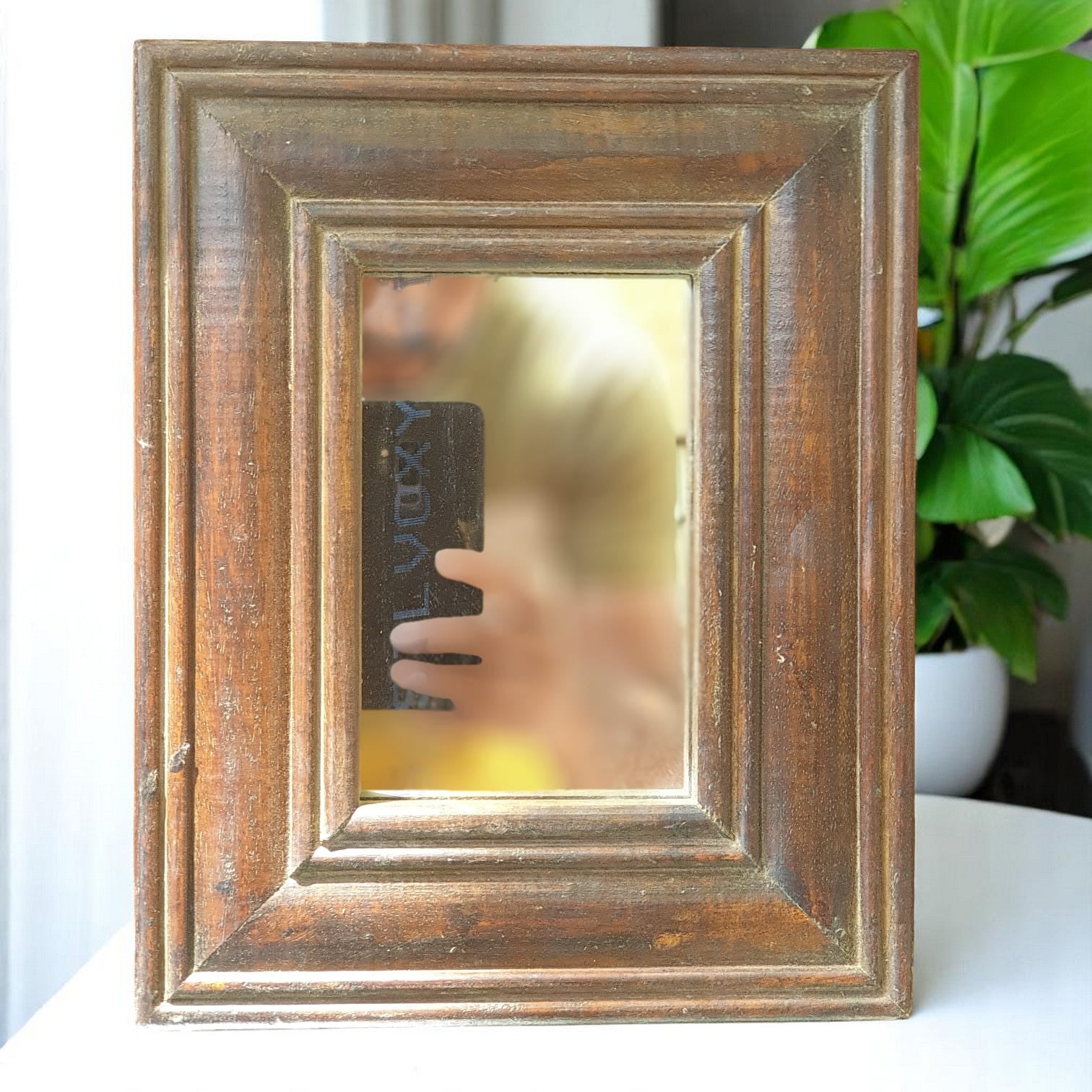 Echoes in Wood - Handmade Vintage Style Indian Mirror Frame Small Wall Decor 8X10